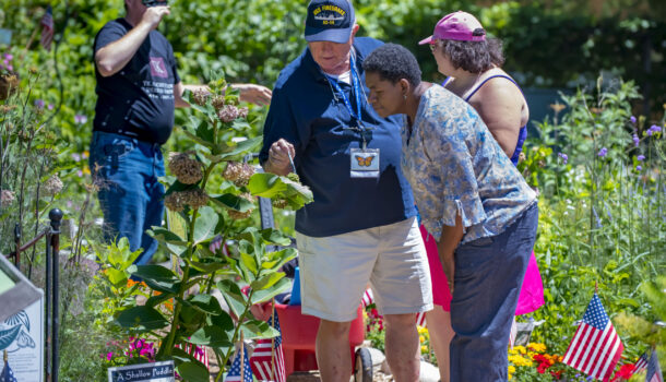 Free veterans day meals fort worth