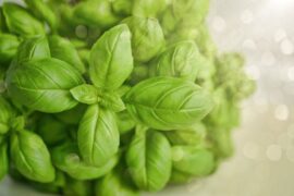Basil Recall Affects Wisconsin