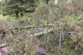 Public Asked to Avoid Hillside Cemetery After Storm Damage