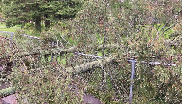 Public Asked to Avoid Hillside Cemetery After Storm Damage