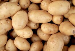 Wisconsin Potato Industry Board Election Open