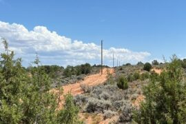 ECEC Crews Volunteer for Light Up Navajo Project