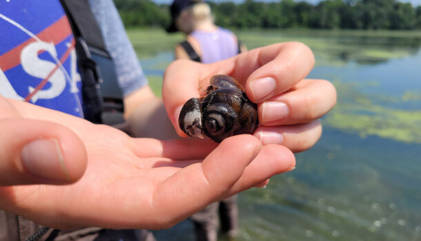 Students From Across Country Address Water Quality Issues in Red Cedar Watershed 