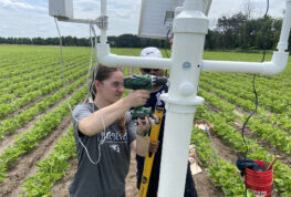 Crop Per Drop: UW-Stout Students Provide R&D for Chippewa Valley Bean