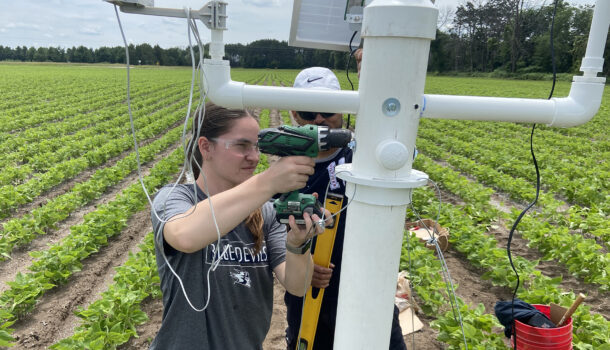 Crop Per Drop: UW-Stout Students Provide R&D for Chippewa Valley Bean