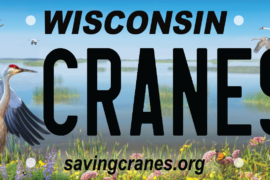 Cranes of WI Plates Available