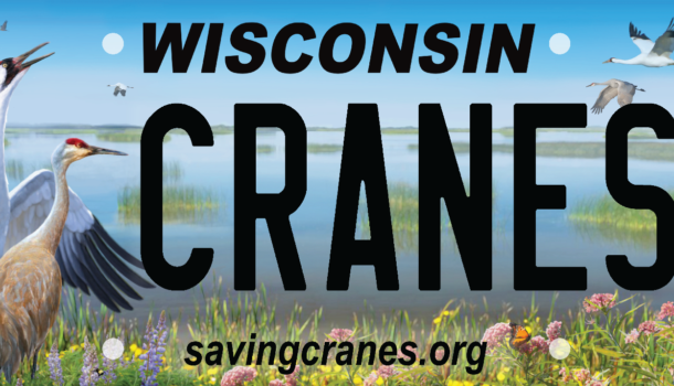 Cranes of WI Plates Available