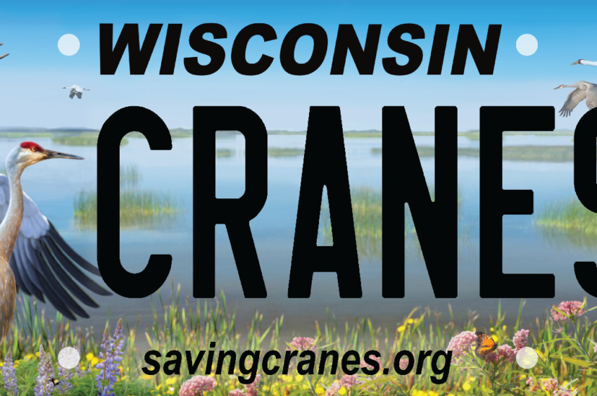 Cranes of WI Plates Available