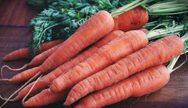 Carrot Recall Affects WI