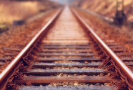 All Aboard! New Attraction for Train Lovers