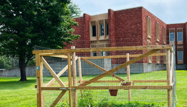 Looking Local: Dunn County Youth Garden Cultivates Growth, Skills, and Second Chances 