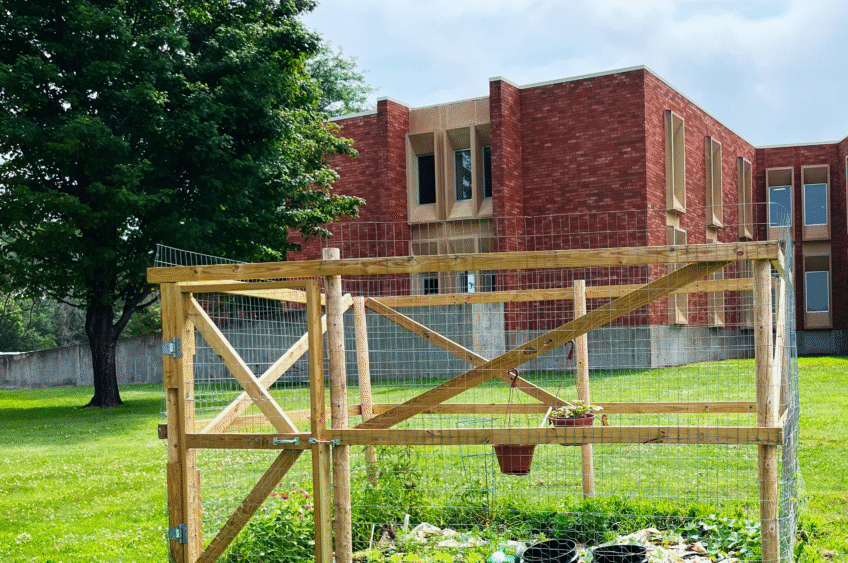 Looking Local: Dunn County Youth Garden Cultivates Growth, Skills, and Second Chances 