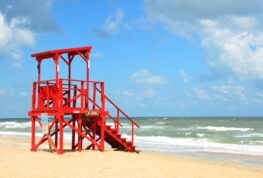 Friday Feel Good: Lifeguards Make a Splash in Deer Rescue
