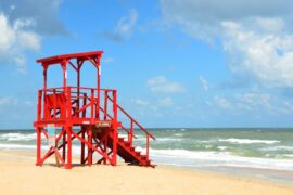 Friday Feel Good: Lifeguards Make a Splash in Deer Rescue