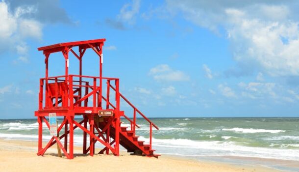 Friday Feel Good: Lifeguards Make a Splash in Deer Rescue
