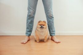 Friday Feel Good: Big Heart in a Small Package