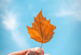 Fall Fest Coming Up in Downtown EC