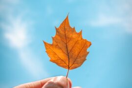 Fall Fest Coming Up in Downtown EC