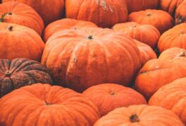 WI Farmer Carves Out Pumpkin Win
