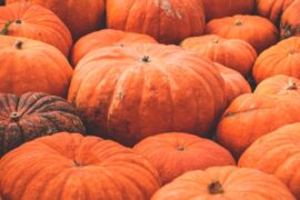 WI Farmer Carves Out Pumpkin Win