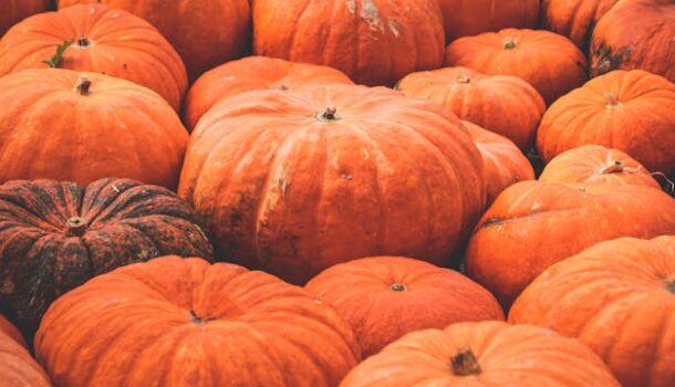 WI Farmer Carves Out Pumpkin Win
