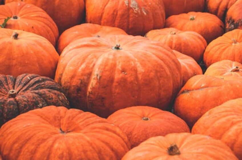 WI Farmer Carves Out Pumpkin Win