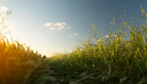 WI Applies for Rural Support