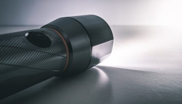 “Creative” Headlight Turns Officers Head