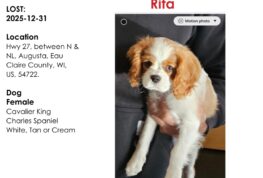 Can You Help Bring Rita Home?