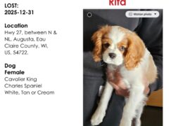 Can You Help Bring Rita Home?