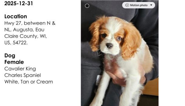 Can You Help Bring Rita Home?