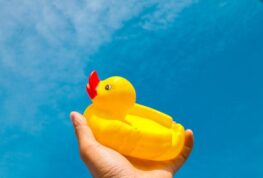 Eau Claire Ducky, You’re the One…