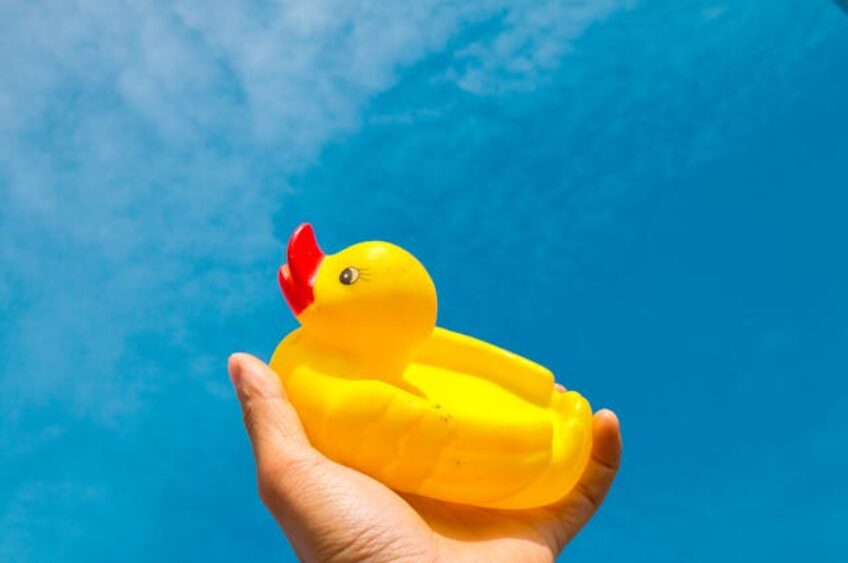 Eau Claire Ducky, You’re the One…