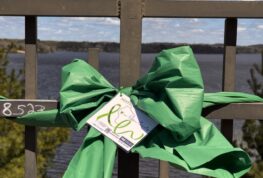 Looking Local: : Green Ribbons Mark National Mental Health Month in Dunn County