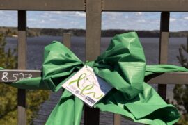 Looking Local: : Green Ribbons Mark National Mental Health Month in Dunn County