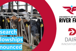 Five Faculty Fellowships Funded at UW-River Falls by State-Sponsored Dairy Innovation Hub   